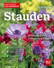 Cover von Das große BLV Handbuch Stauden