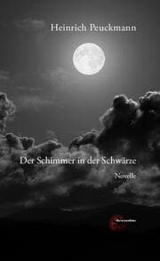 Cover von Der Schimmer in der Schwärze