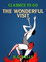 Cover von The Wonderful Visit