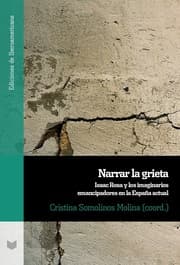 Cover von Narrar la grieta. Isaac Rosa y los imaginarios emancipadores en la España actual