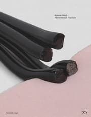 Cover von Antonia Hirsch - Phenomenal Fracture
