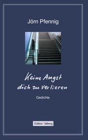 Cover von Keine Angst dich zu verlieren