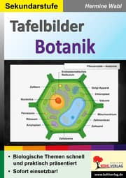 Cover von Tafelbilder Botanik