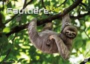 Cover von Faultiere - Chill mal! 2027