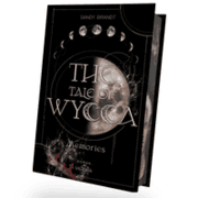 Cover von THE TALE OF WYCCA: Memories (WYCCA-Reihe 3)
