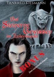 Cover von Das steinerne Gewissen im Zeitenwandel
