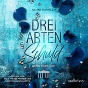 Cover von Drei Arten Schuld