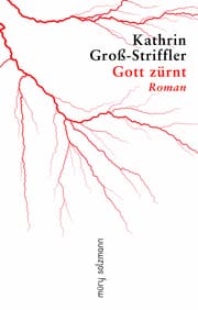 Cover von Gott zürnt