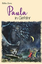 Cover von Paula in Gefahr