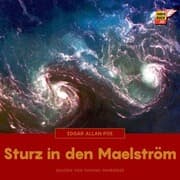 Cover von Sturz in den Maelström