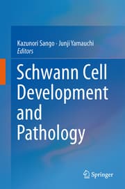 Cover von Schwann Cell Development and Pathology
