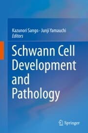Cover von Schwann Cell Development and Pathology