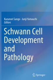Cover von Schwann Cell Development and Pathology