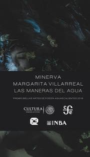 Cover von Las maneras del agua