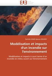 Cover von Modélisation et impacts d''un incendie sur l''environnement