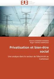 Cover von Privatisation et bien-être social