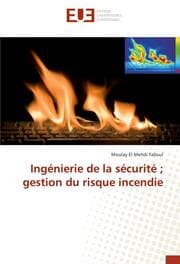 Cover von Ingénierie de la sécurité ; gestion du risque incendie