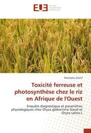 Cover von Toxicité ferreuse et photosynthèse chez le riz en Afrique de l'Ouest
