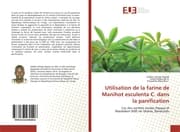 Cover von Utilisation de la farine de Manihot esculenta C. dans la panification