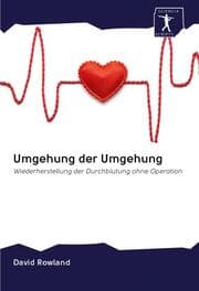 Cover von Umgehung der Umgehung