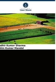 Cover von Ammoniak in der Atmosphäre über Indien