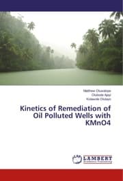 Cover von Kinetics of Remediation of Oil Polluted Wells with KMnO4