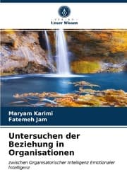 Cover von Untersuchen der Beziehung in Organisationen
