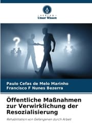 Cover von Öffentliche Maßnahmen zur Verwirklichung der Resozialisierung