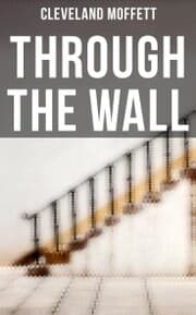 Cover von Through the Wall