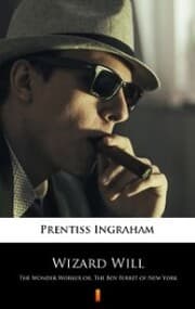 Cover von Wizard Will
