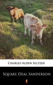 Cover von Square Deal Sanderson