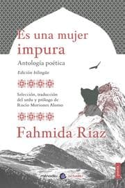 Cover von Es una mujer impura