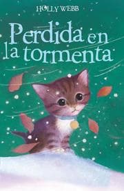 Cover von Perdida en la tormenta