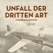 Cover von Unfall der dritten Art - Fliegergeschichten (Ungekürzt)