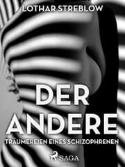 Cover von Der Andere - Träumereien eines Schizophrenen