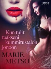 Cover von Kun tulit taakseni kummitustalon jonoon - eroottinen novelli