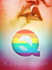 Cover von Q - eroottinen novelli