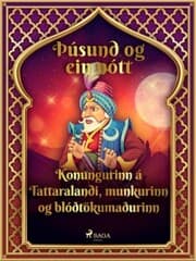 Cover von Konungurinn á Tattaralandi, munkurinn og blóðtökumaðurinn (Þúsund og ein nótt 20)