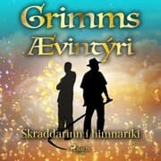 Cover von Skraddarinn í himnaríki