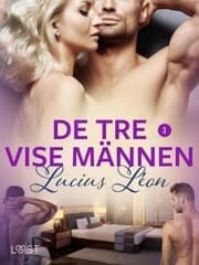 Cover von De tre vise männen 3 - BDSM erotik