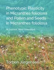 Cover von Phenotypic Plasticity in Micranthes foliolosa and Pollen and Seeds in Micranthes foliolosa