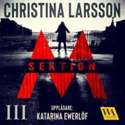 Cover von Sektion M III