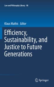 Cover von Efficiency, Sustainability, and Justice to Future Generations