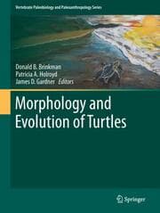 Cover von Morphology and Evolution of Turtles