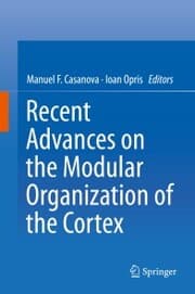 Cover von Recent Advances on the Modular Organization of the Cortex