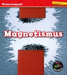 Cover von Magnetismus