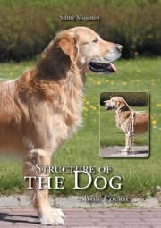 Cover von Structure of the Dog