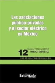 Cover von Las asociaciones público-privadas y el sector eléctrico en México