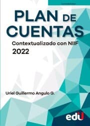 Cover von Plan de cuentas. Contextualizado con NIIF 2022