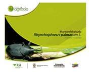 Cover von Manejo del picudo Rhynchophorus palmarum L. (Coleóptera : Curculionidae)